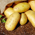 Patatas